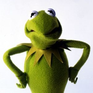 Meet your Posher, Arnold